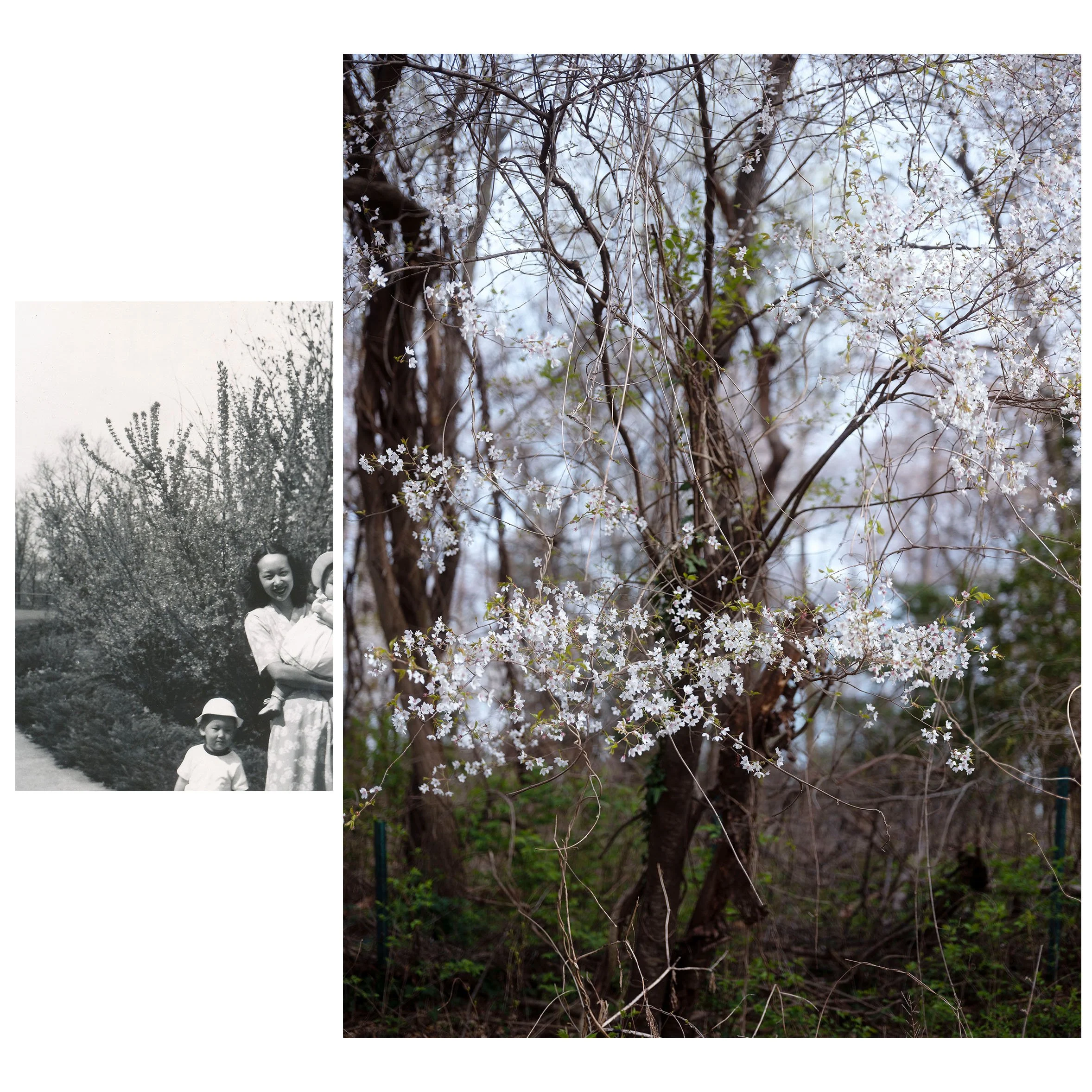 Untitled-9 copy.jpg
