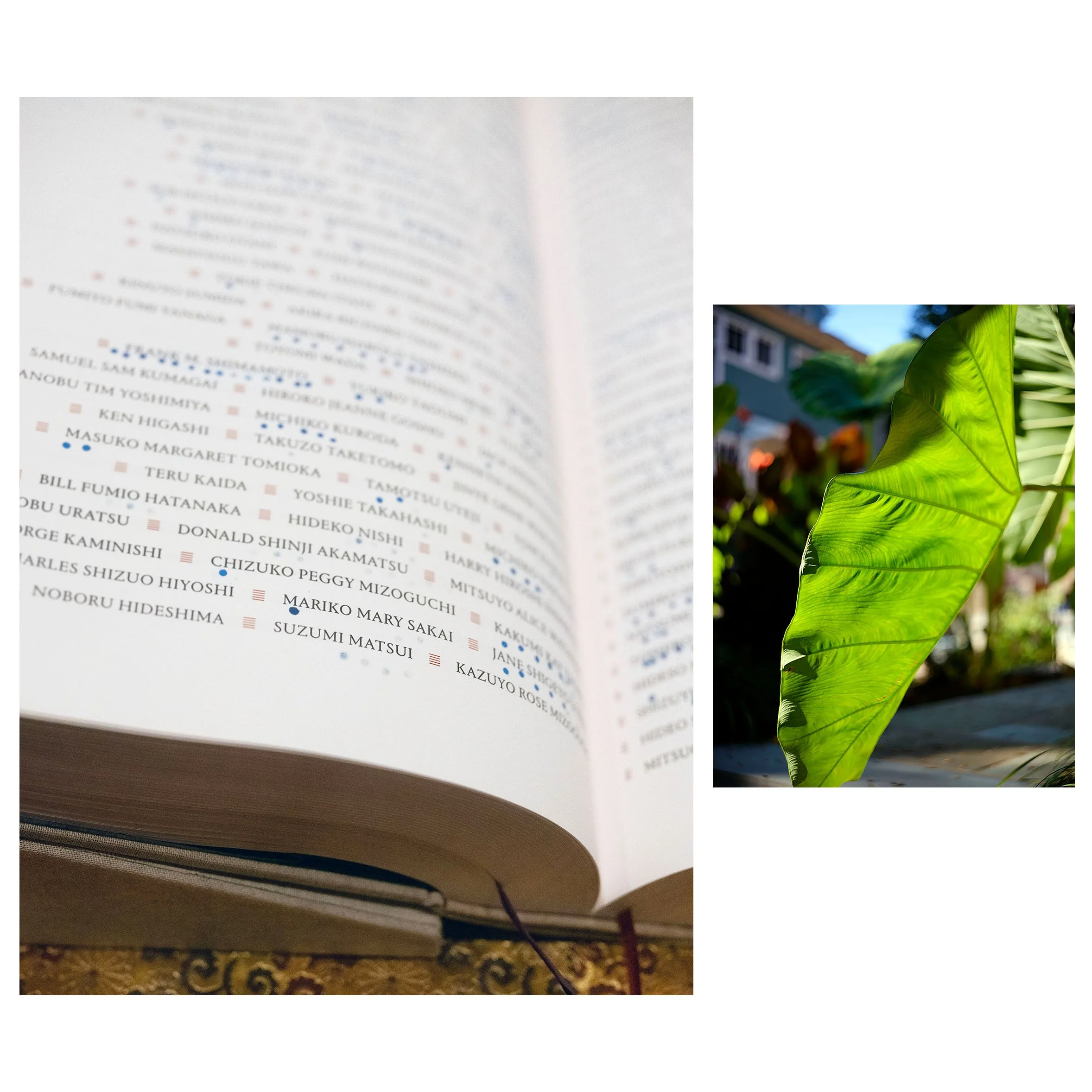  The Ireichō (Sacred Book of Names), the comprehensive record documenting the 125,284 persons of Japanese ancestry incarcerated in U.S. detention camps during WWII. Blue stamp mark made by Jennifer Sakai next to her grandmother’s name, Mariko Mary Sa