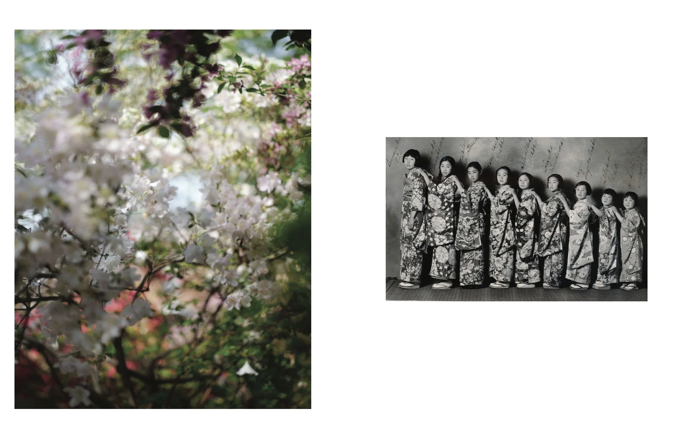  Composite image incorporating an archival photograph of the artist's grandmother (fourth from left), Spring Dance Recital, Buddhist Temple, Seattle, c. 1935, and a contemporary landscape photograph. 