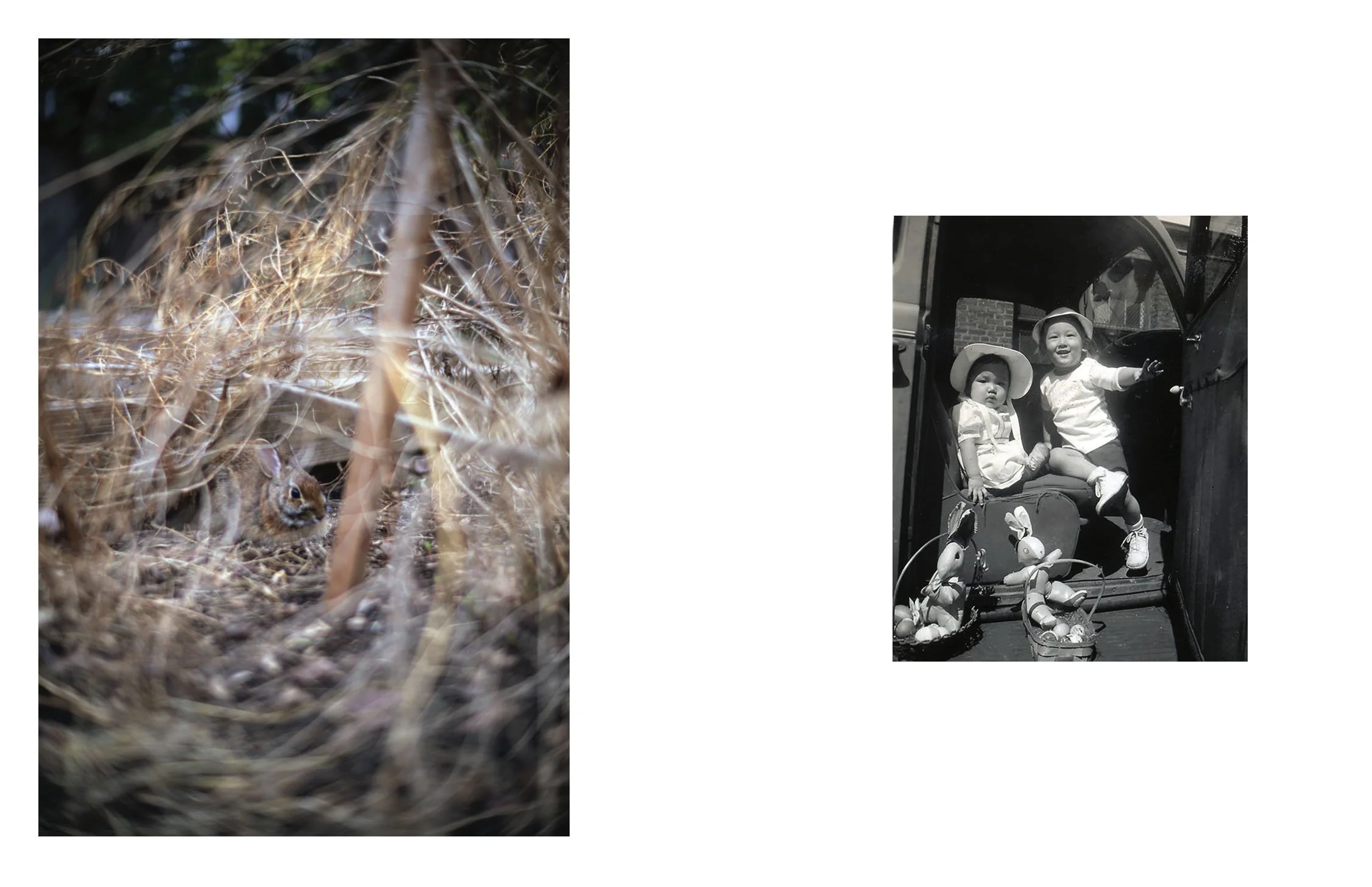  Composite image incorporating an archival photograph of the artist's aunt and uncle, Easter, postwar Ohio, and a contemporary landscape photograph. 