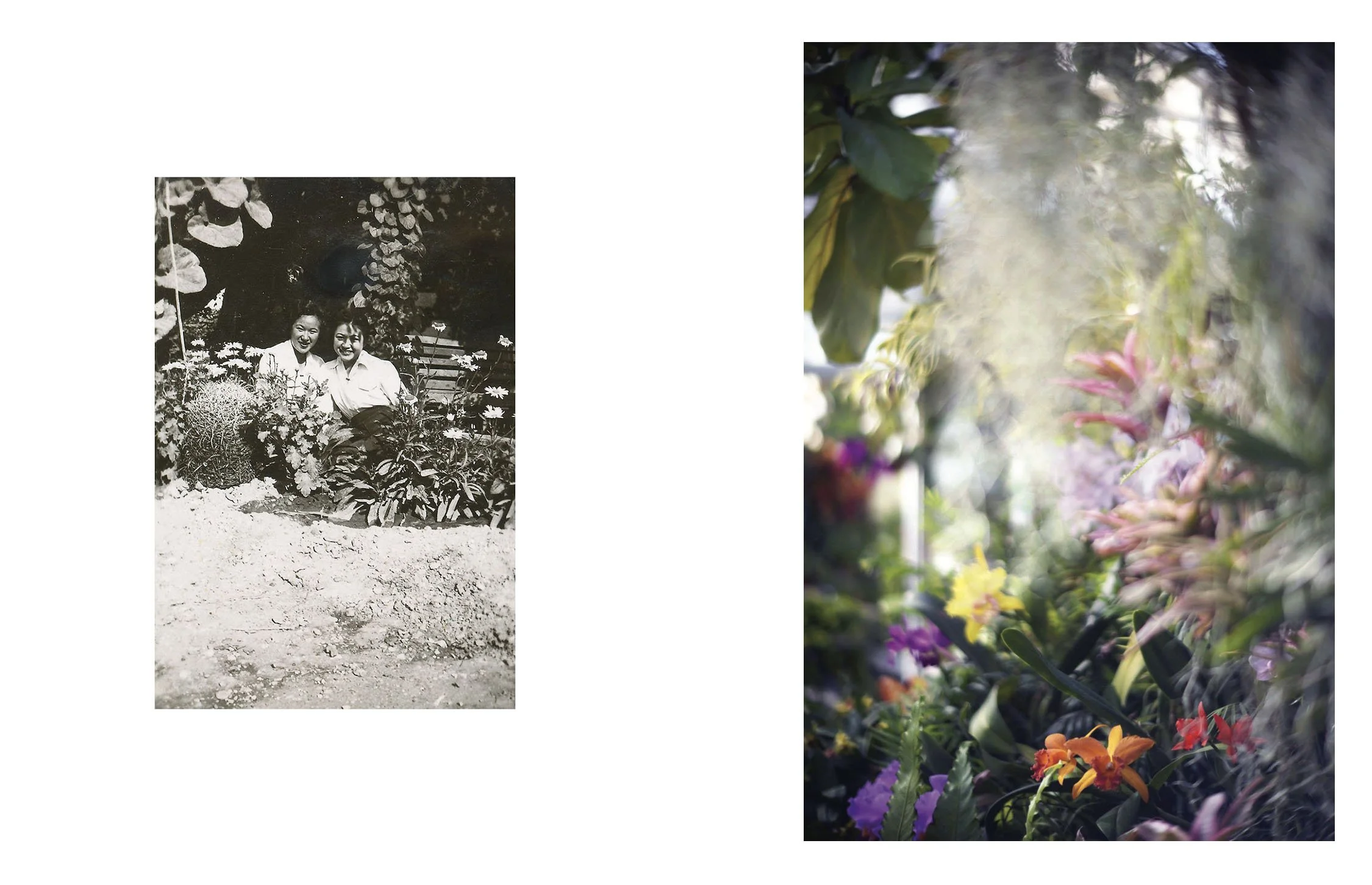  Composite image incorporating an archival photograph of Auntie Mitsi and Chiye in Poston incarceration camp, Arizona (1944), and a contemporary landscape photograph. 