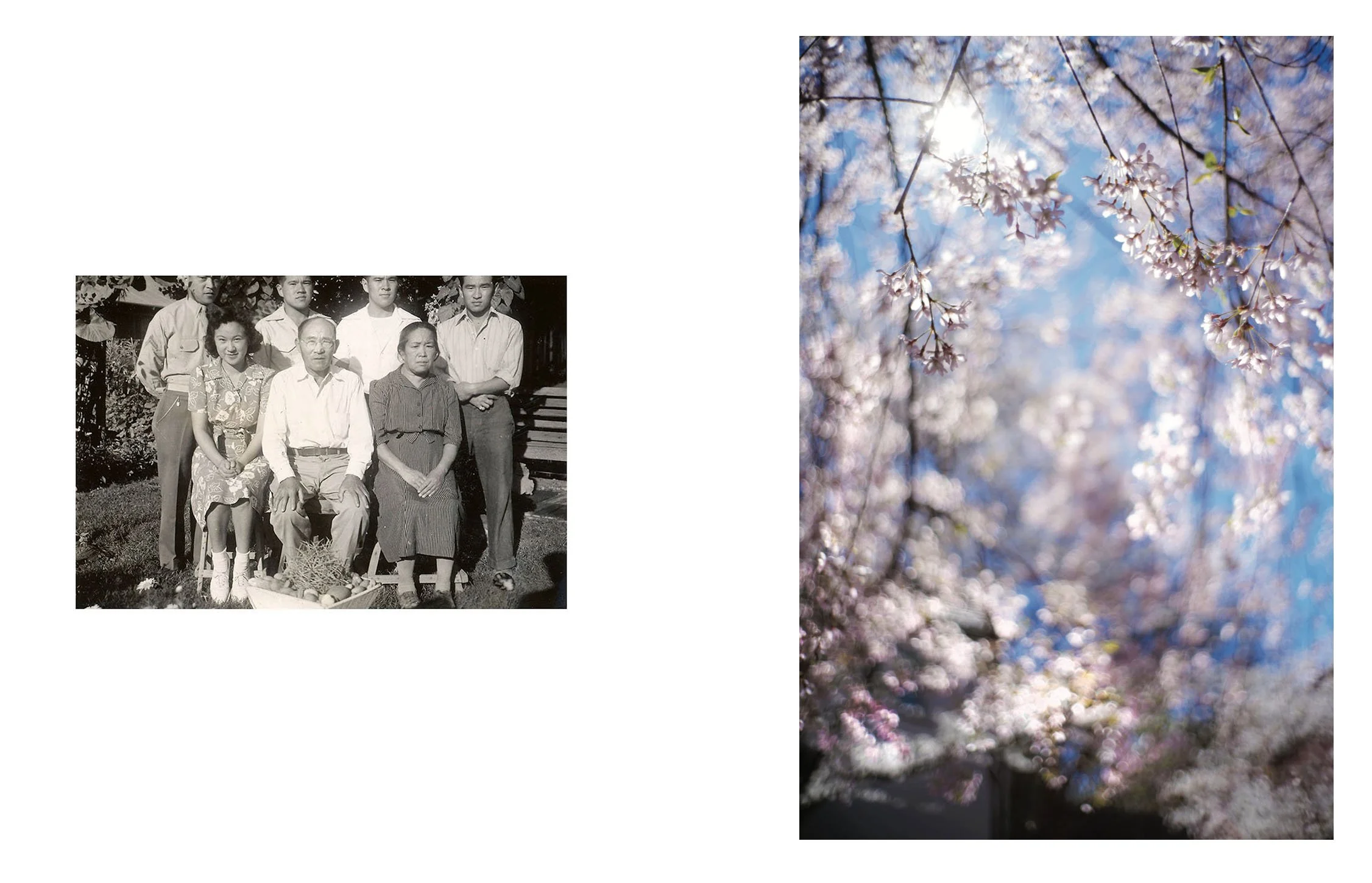 Composite image incorporating an archival photograph of the Sakai family in Poston incarceration camp, Arizona (1942), and a contemporary landscape photograph. 