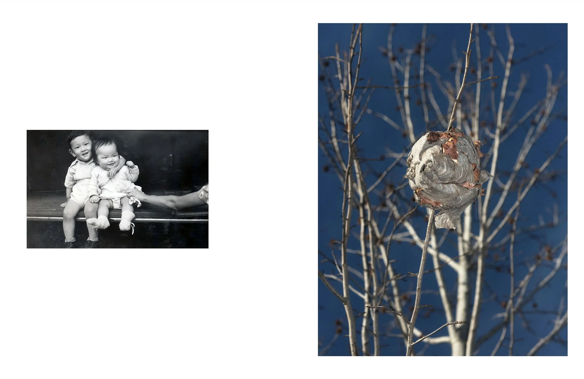  Composite image incorporating an archival photograph of the artist's uncle and aunt, c. 1950, and a contemporary landscape photograph. 