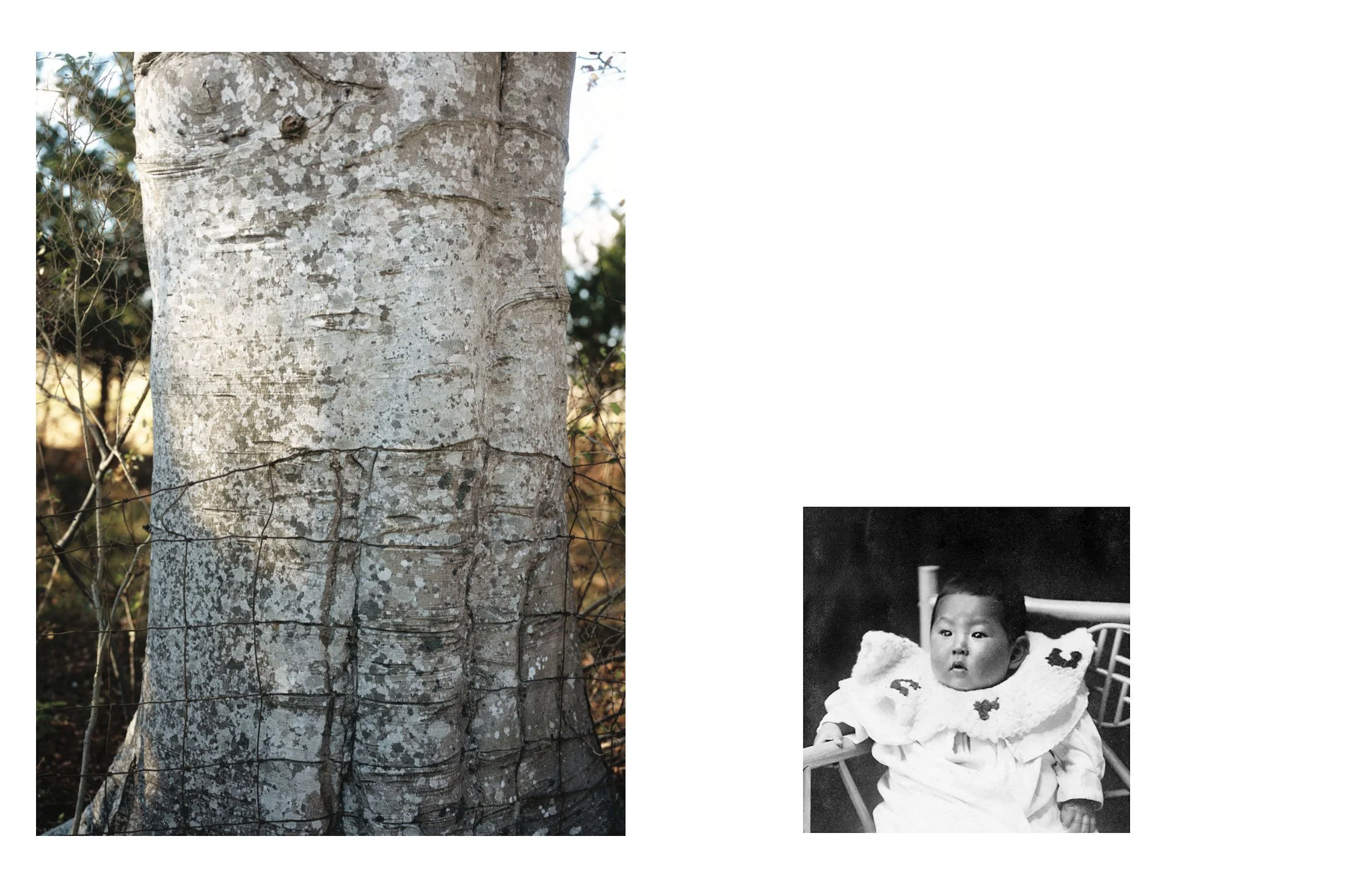  Composite image incorporating the earliest known archival photograph of Jack Sakai, Watsonville, California (1914), and a contemporary landscape photograph. 