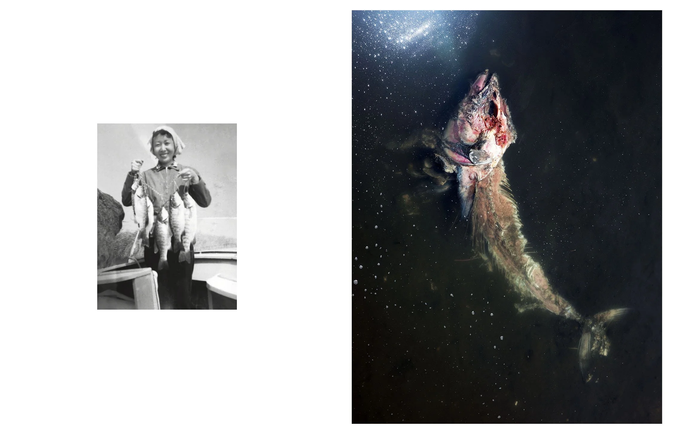 Composite image incorporating an archival photograph of the artist's grandmother in the Great Lakes after the war and a contemporary photograph. 
