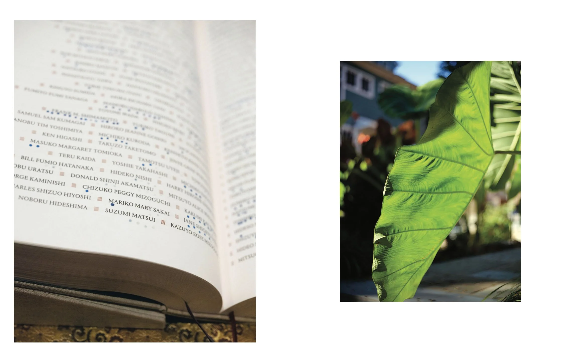  The Ireichō (Sacred Book of Names), the comprehensive record documenting the 125,284 persons of Japanese ancestry incarcerated in U.S. detention camps during WWII. Blue stamp mark made by Jennifer Sakai next to her grandmother’s name, Mariko Mary Sa