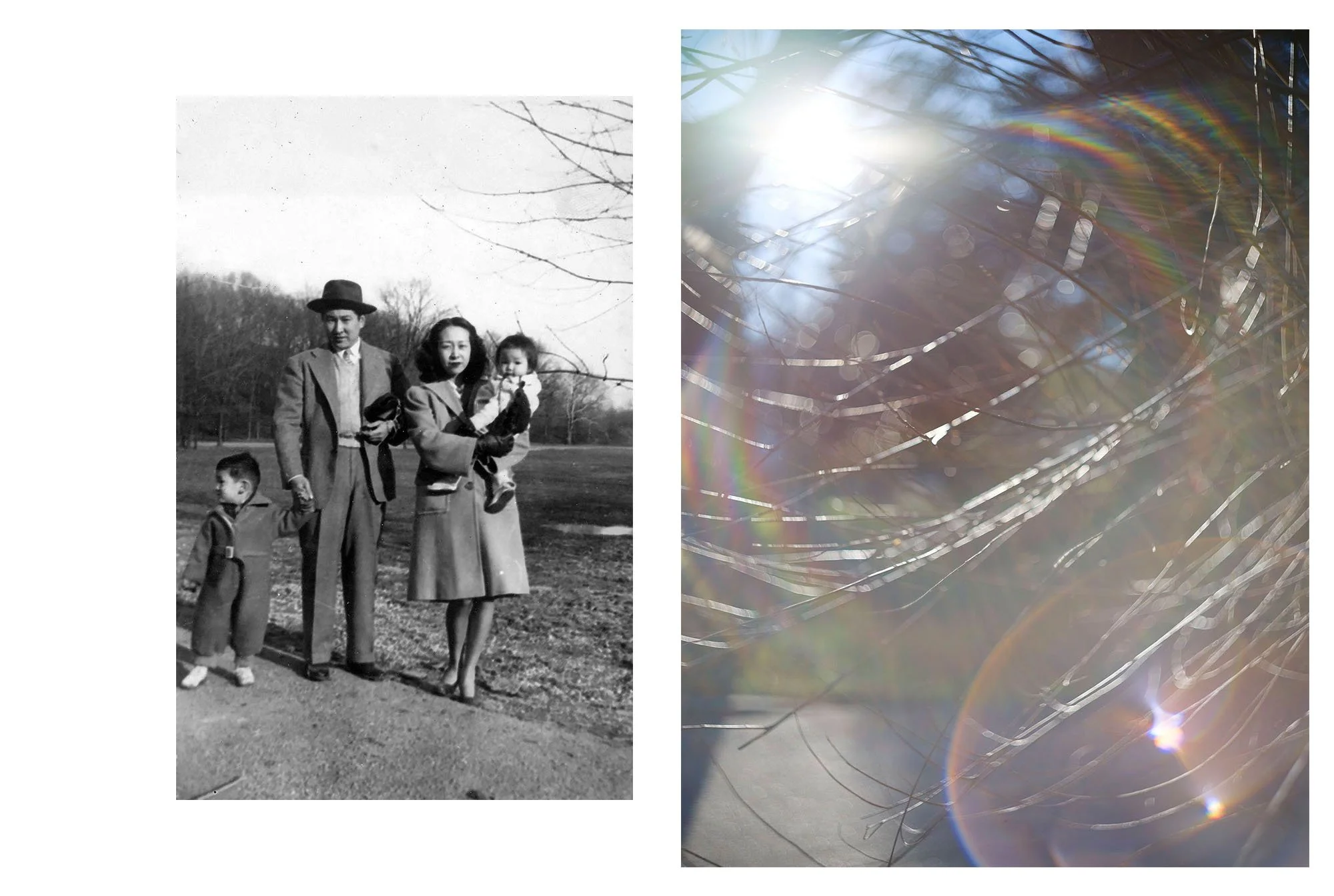  Composite image incorporating an archival photograph of the artist's grandparents, aunt, and uncle in Lakewood, Ohio (1945), and a contemporary landscape photograph. 