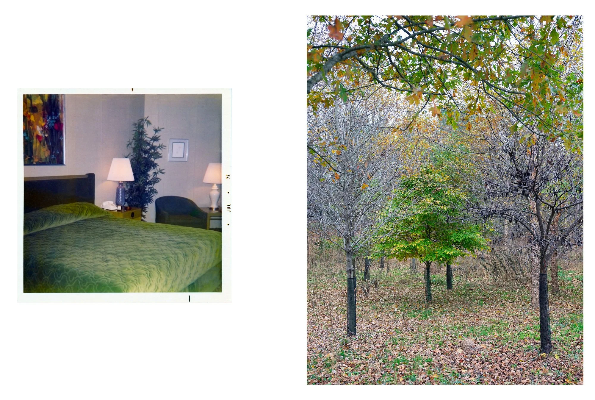  Composite image incorporating an archival motel room photograph taken during the artist's grandmother's pilgrimage to revisit the family's lost farm and a contemporary landscape photograph. 