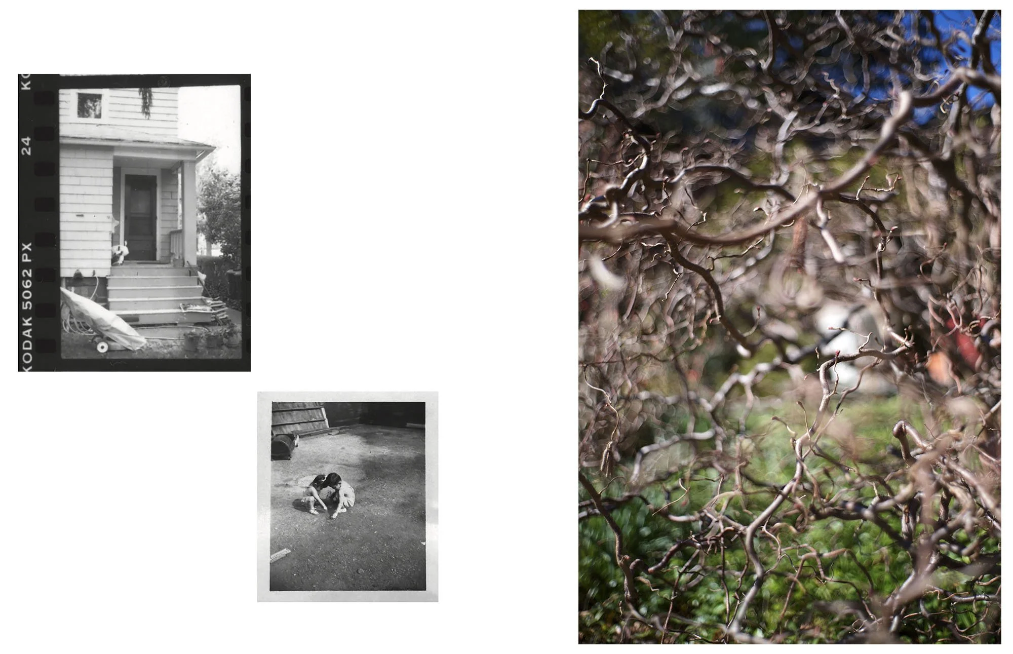  Composite image incorporating an archival photograph of the artist's uncle (born in Poston incarceration camp) and aunt in their backyard, c. 1948; a 1994 photograph of the back of their home; and a contemporary landscape photograph. 