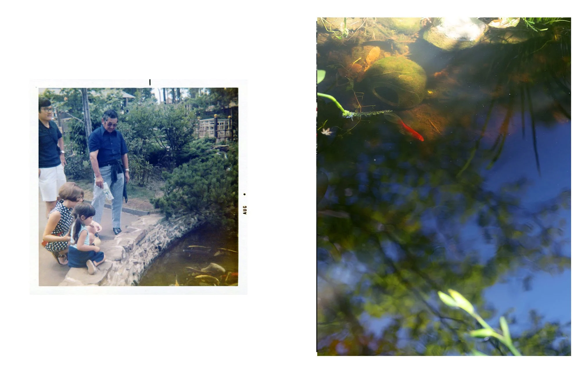  Composite image incorporating an archival photograph of the artist's grandfather, uncle, aunt, and the artist at a koi pond and a contemporary landscape photograph. 