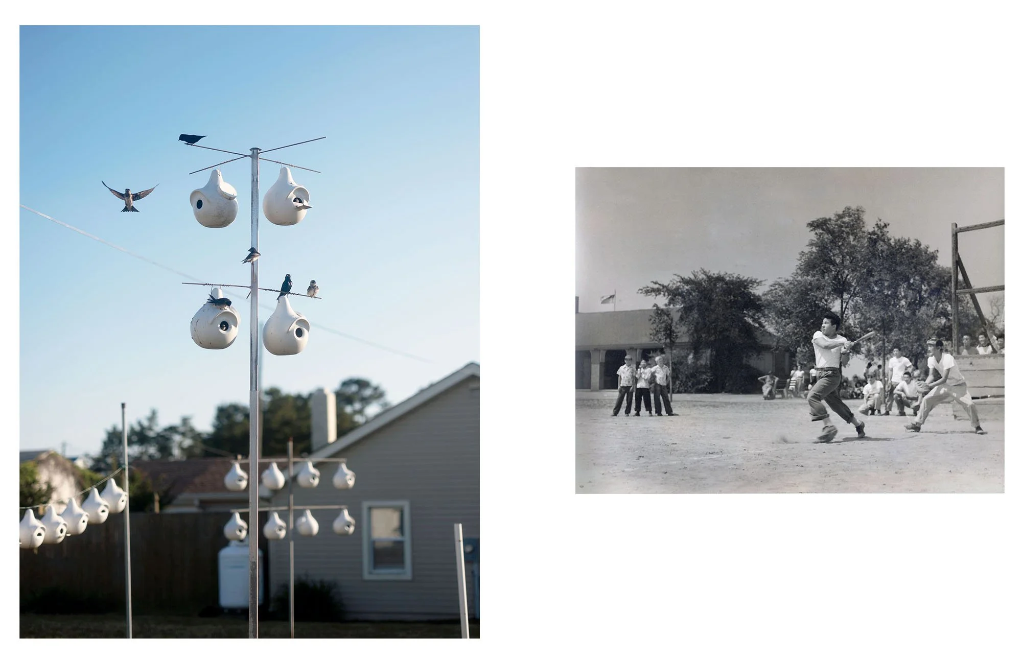  Composite image incorporating an archival photograph of the artist's great-uncles playing baseball in Poston incarceration camp, Arizona (1942), and a contemporary landscape photograph. 
