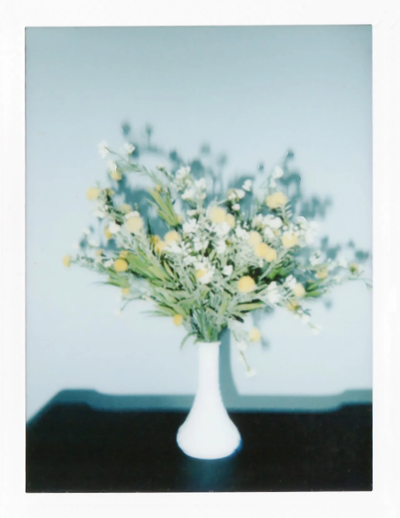 Beauty Polaroids 5 FINALflower.jpg