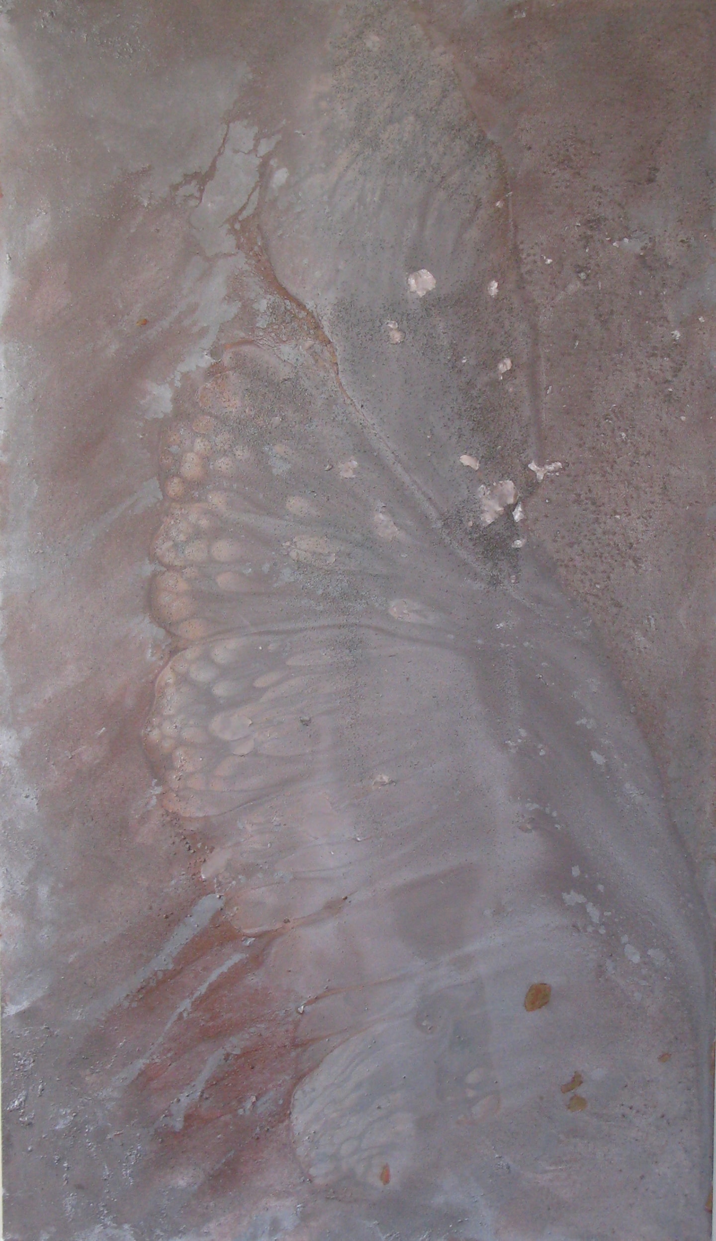 Fossilized Wing