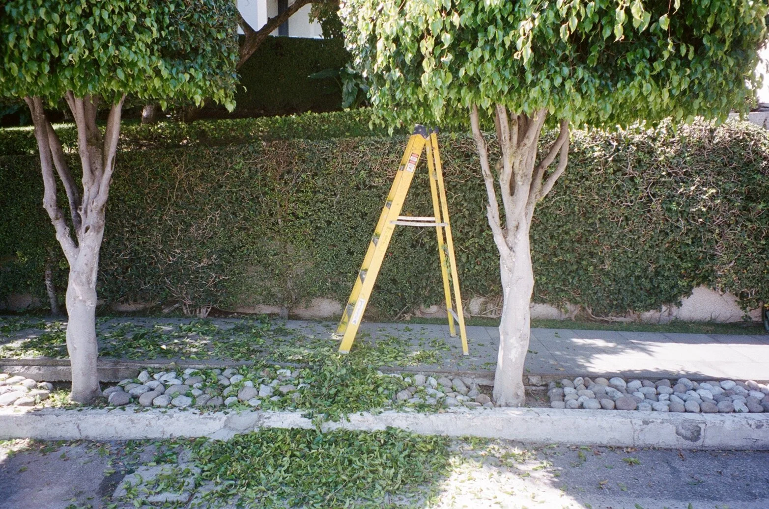 000023540021.jpg