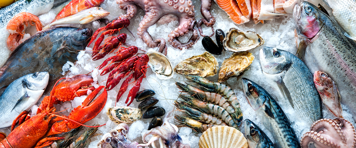 Vanguard Serves Meat & Seafood