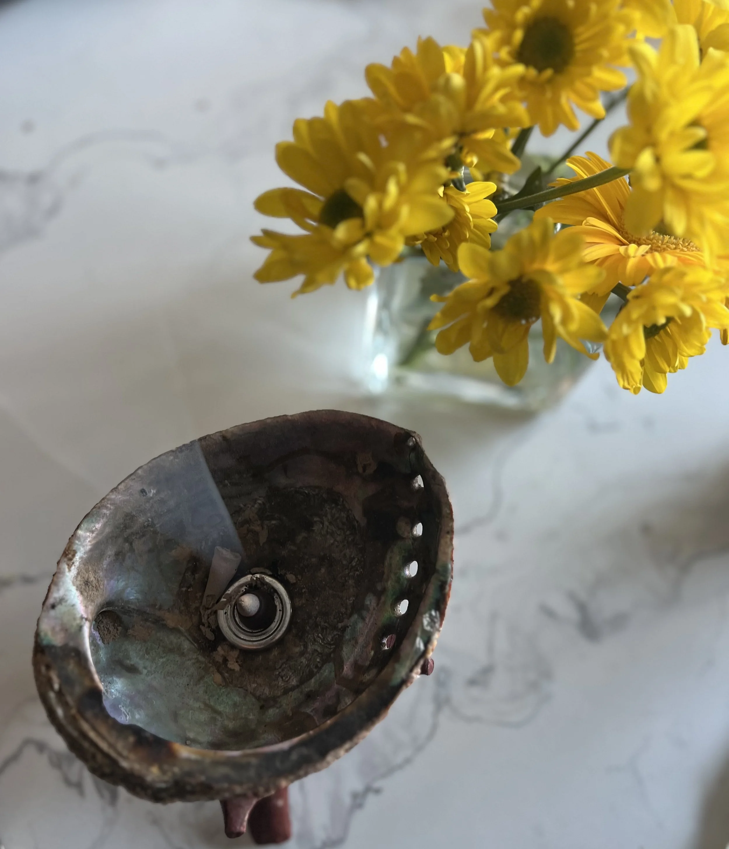 Post Snow Day in Houston