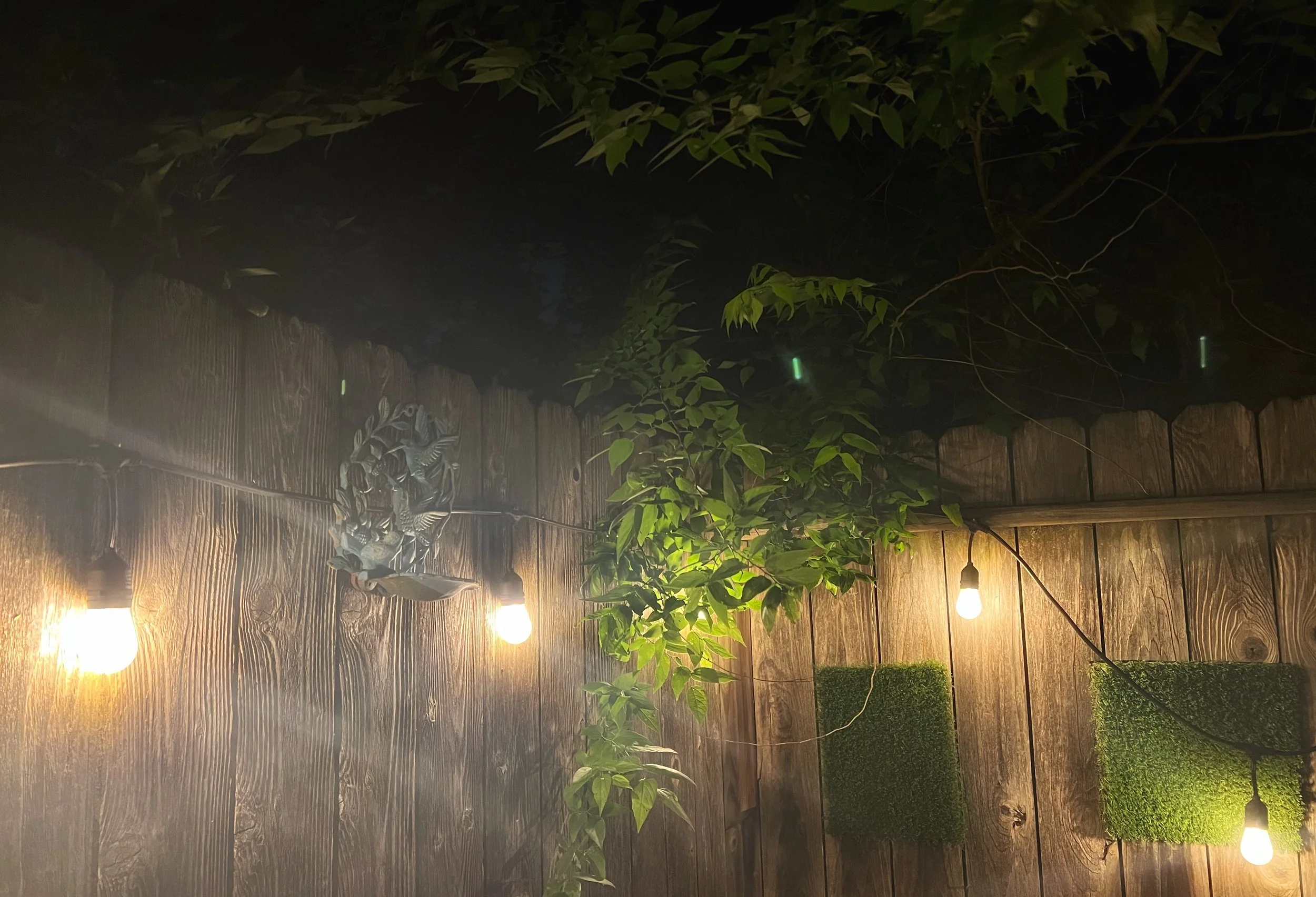 Night Life