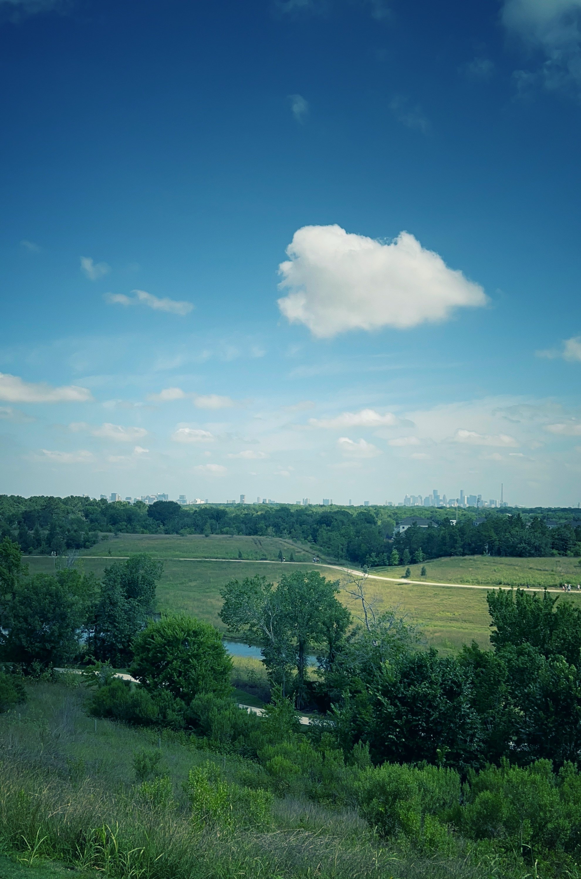 The Hill at Sims