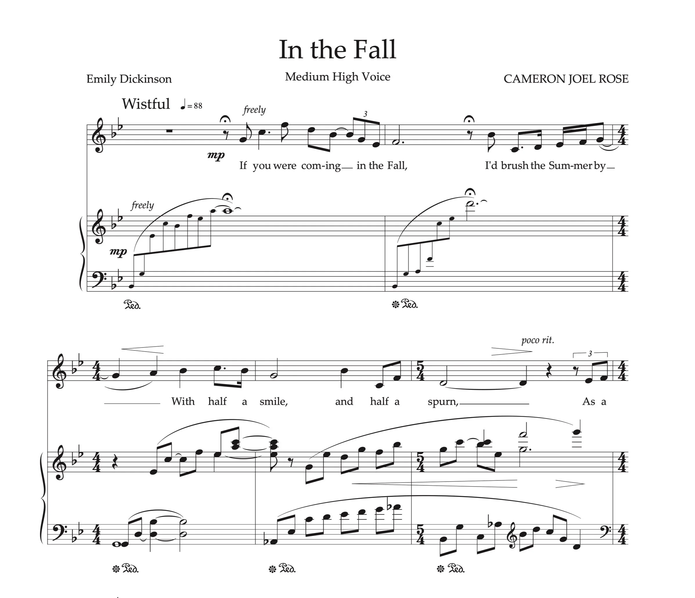 In+the+Fall.jpg