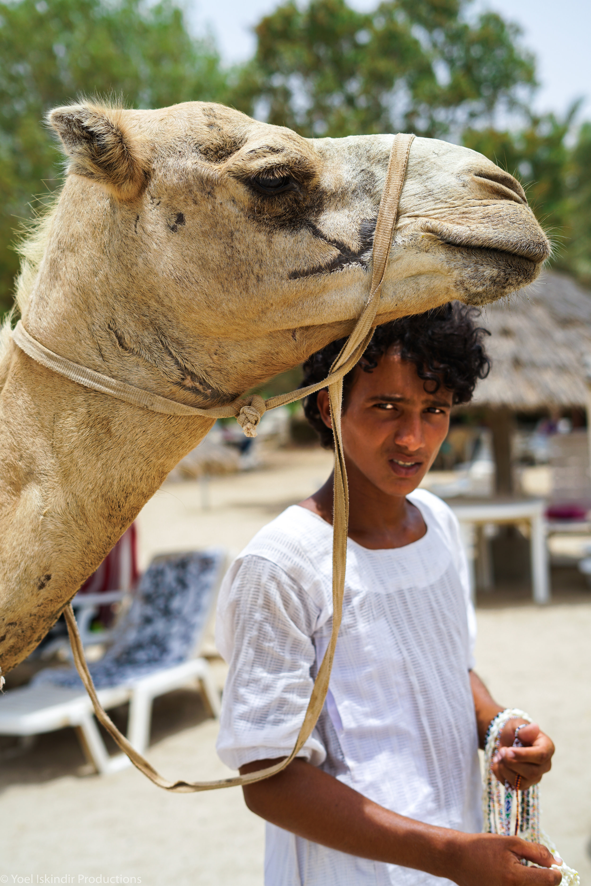 camel boy portrait small (1 of 1).jpg