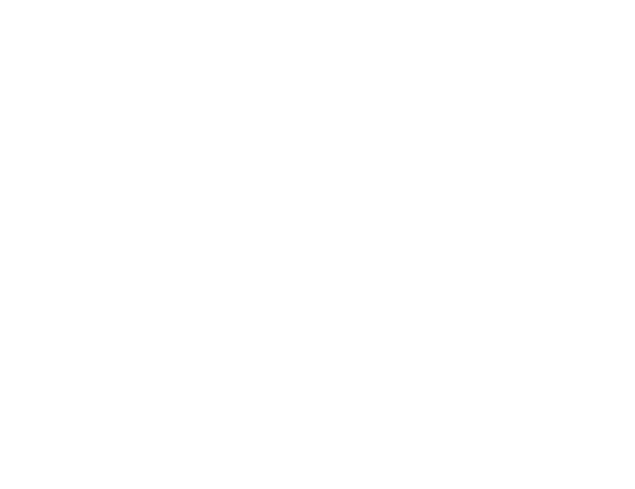 TERMINUS FILM FESTIVAL - OFFICIAL SELECTION - 2017.png