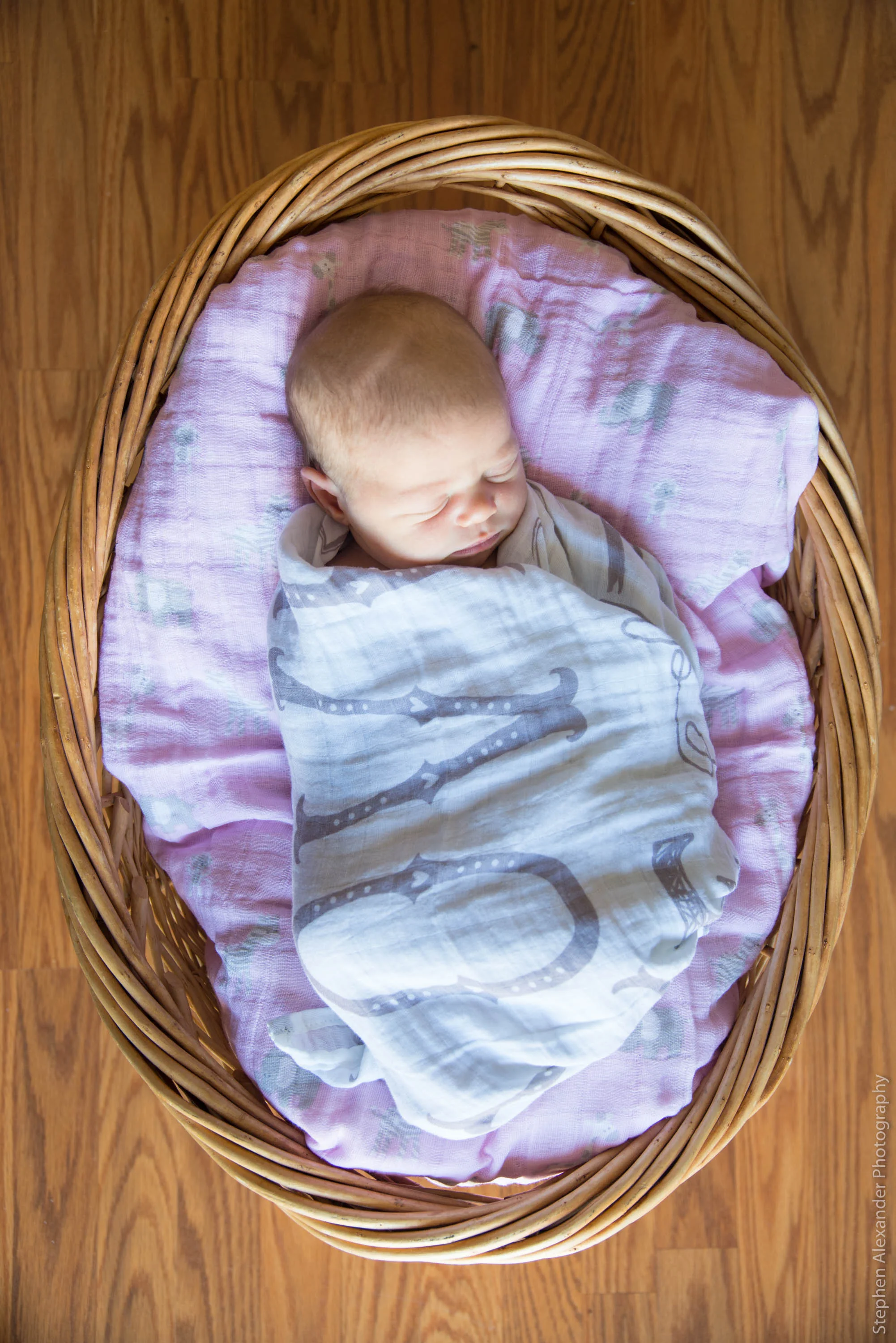 ElleryRoseBirth2018-2-3.jpg