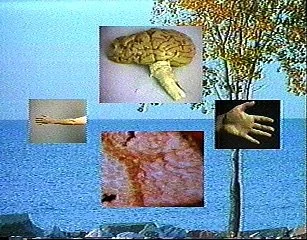 This and That Part One 7:48mins. stereo/ntsc 1987