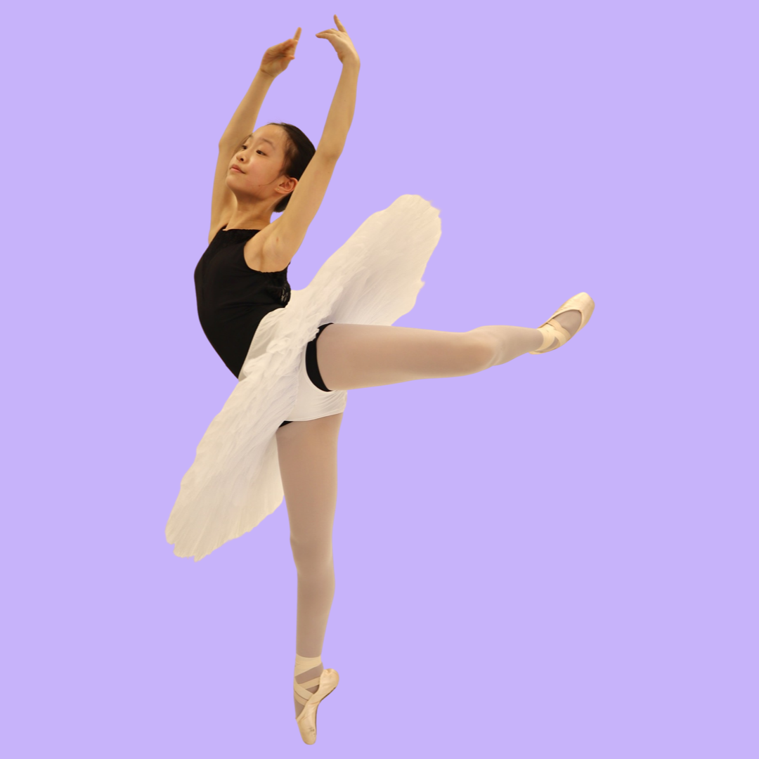 IMG_1044.PNG