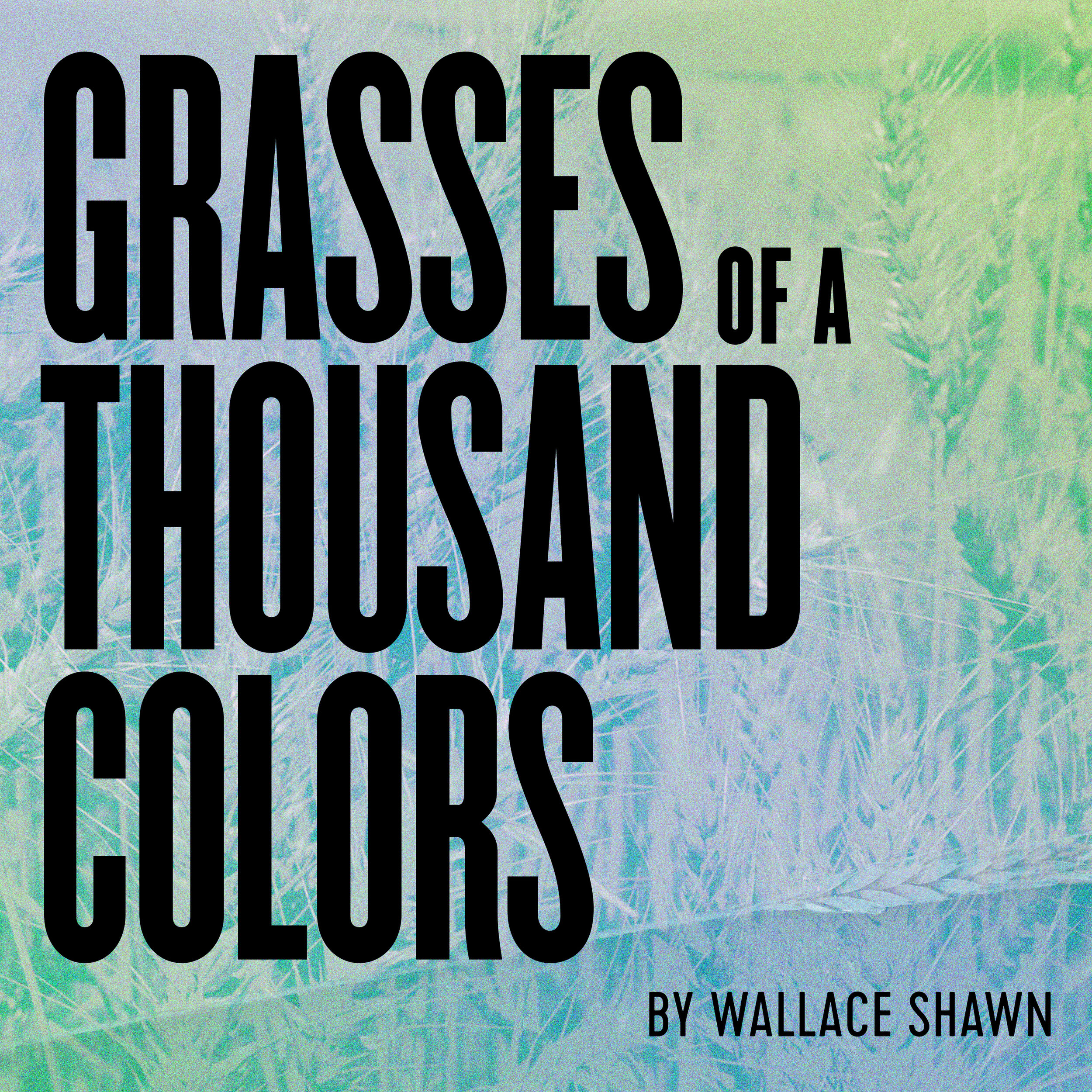 thousand-grasses-2.jpg