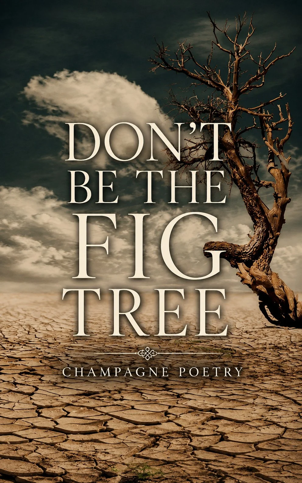 DBTFT-ebook copy.jpeg