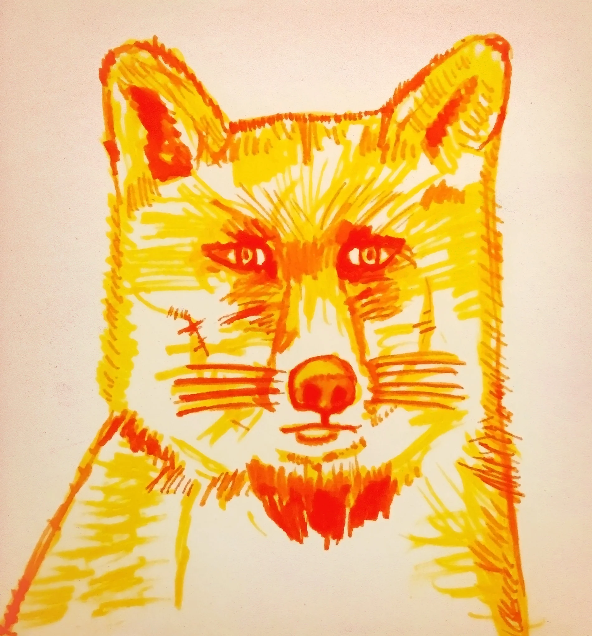 Fox.jpg