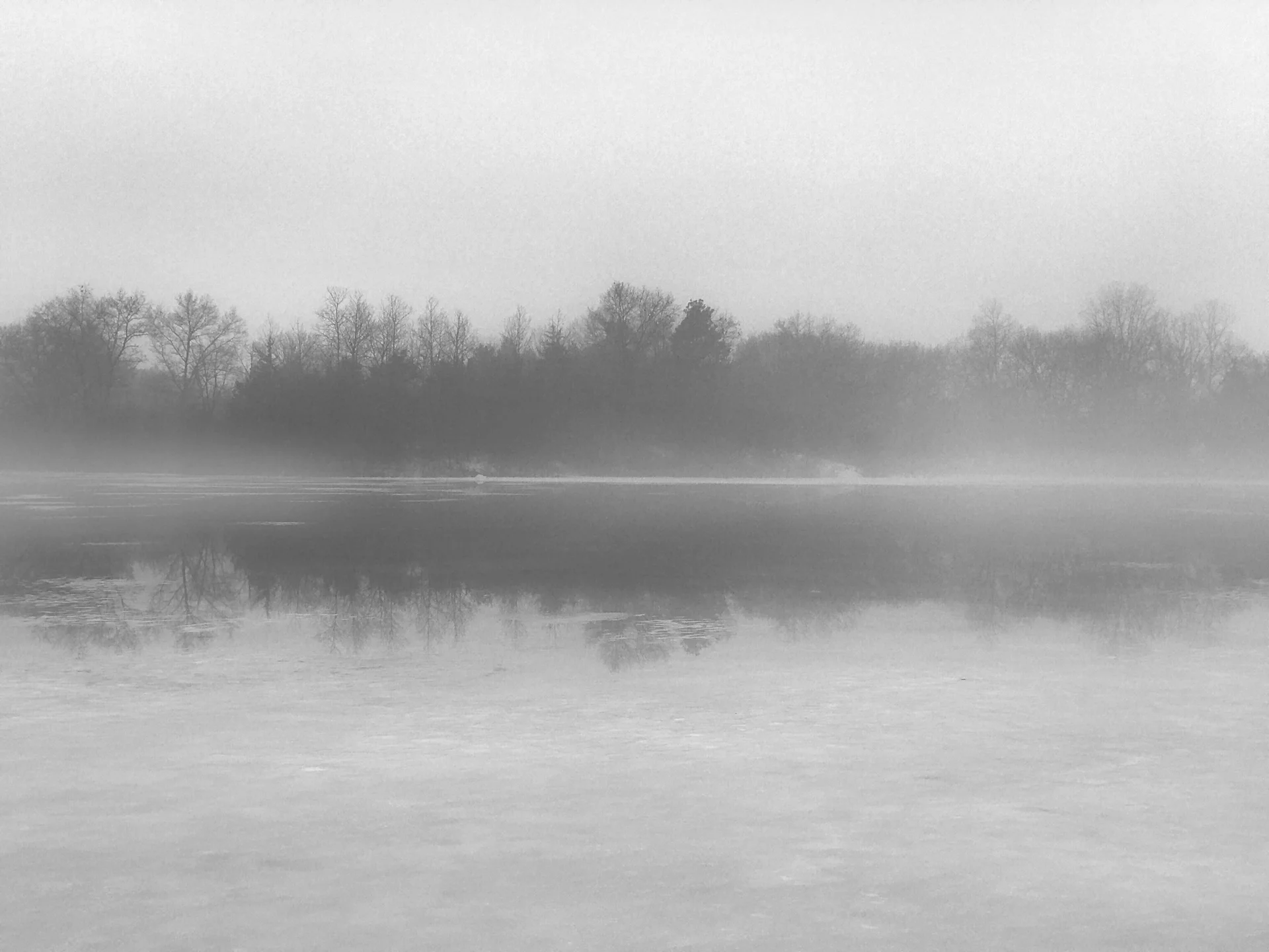 Winter-Fog_v1.jpg