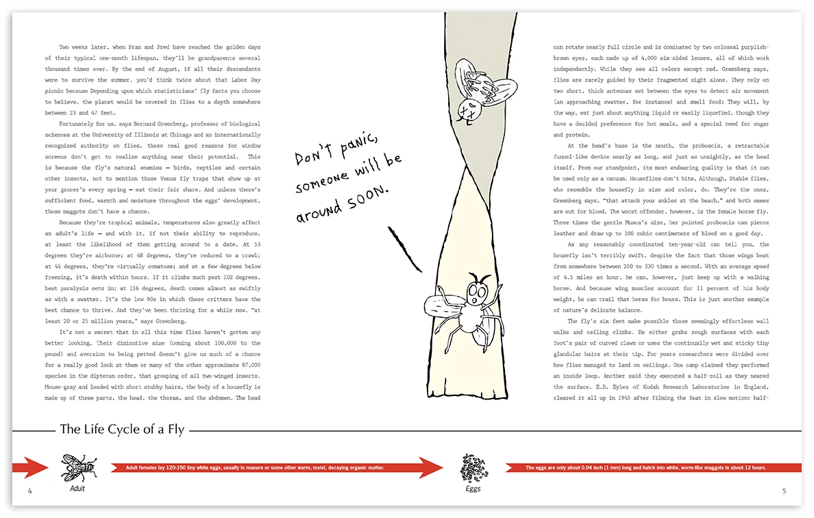 flybook-page-2.jpg