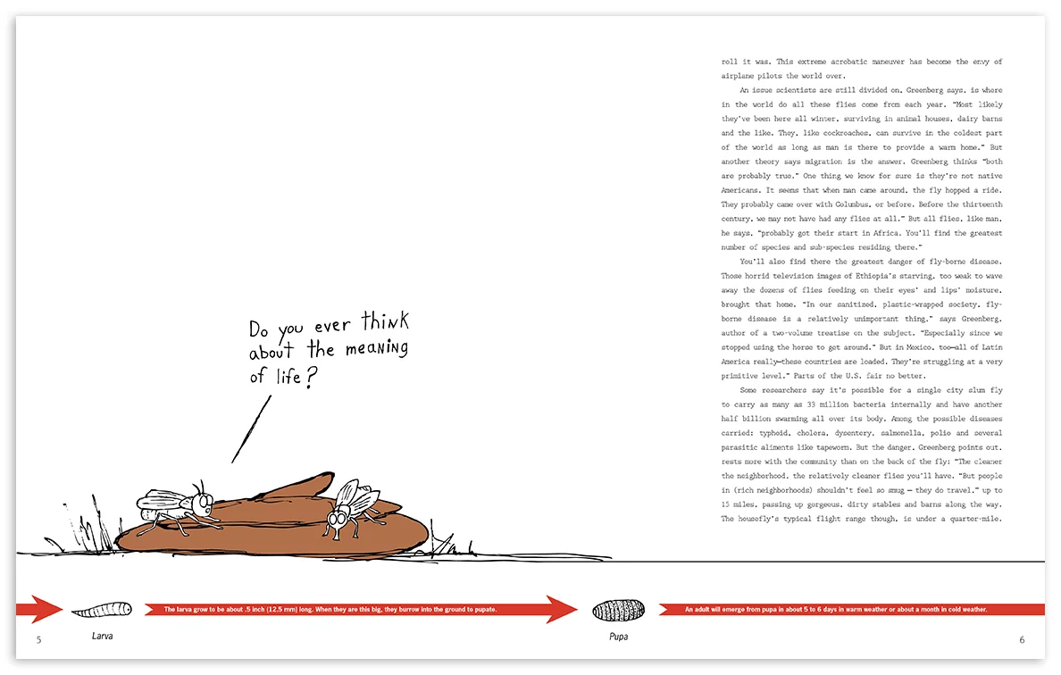flybook-page-3.jpg