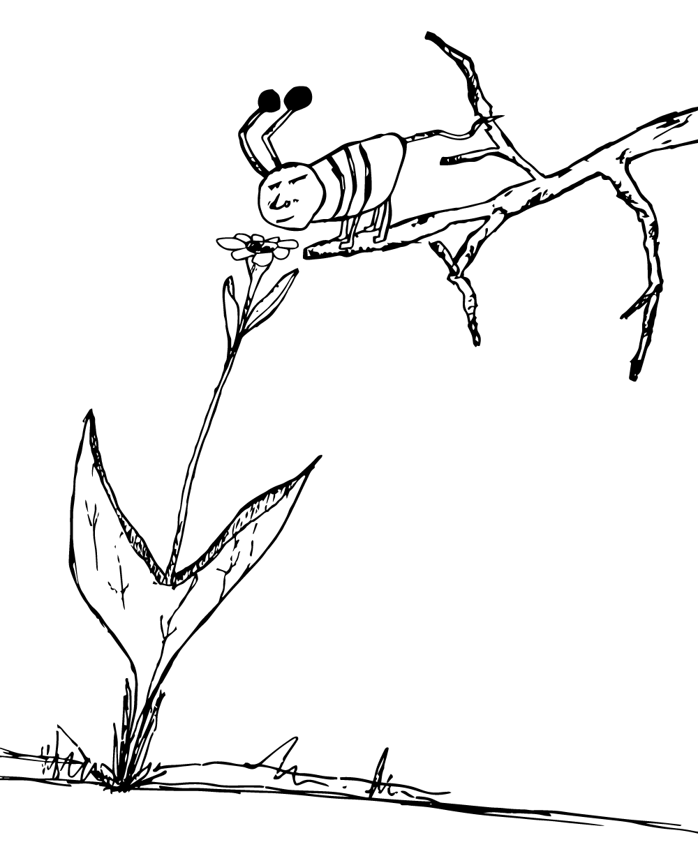 Bug and Flower
