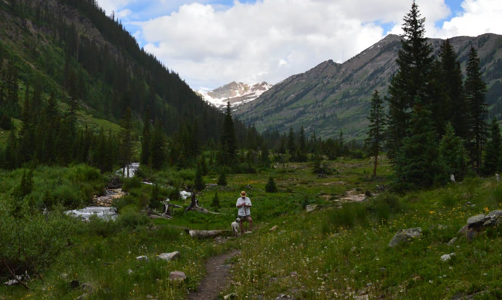 DSC_0963.jpg