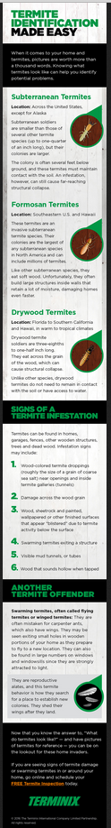 Termite ID One Sheet