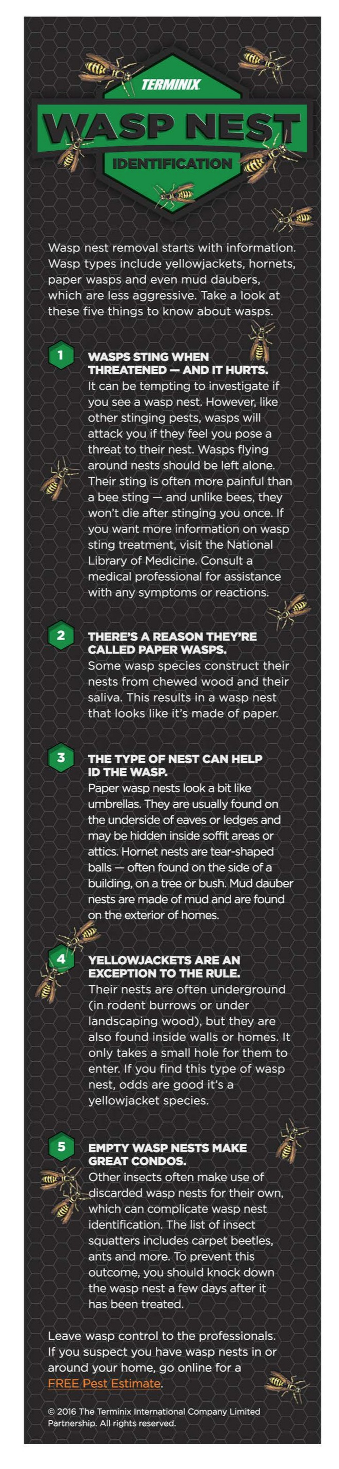 Wasp Nest ID One Sheet