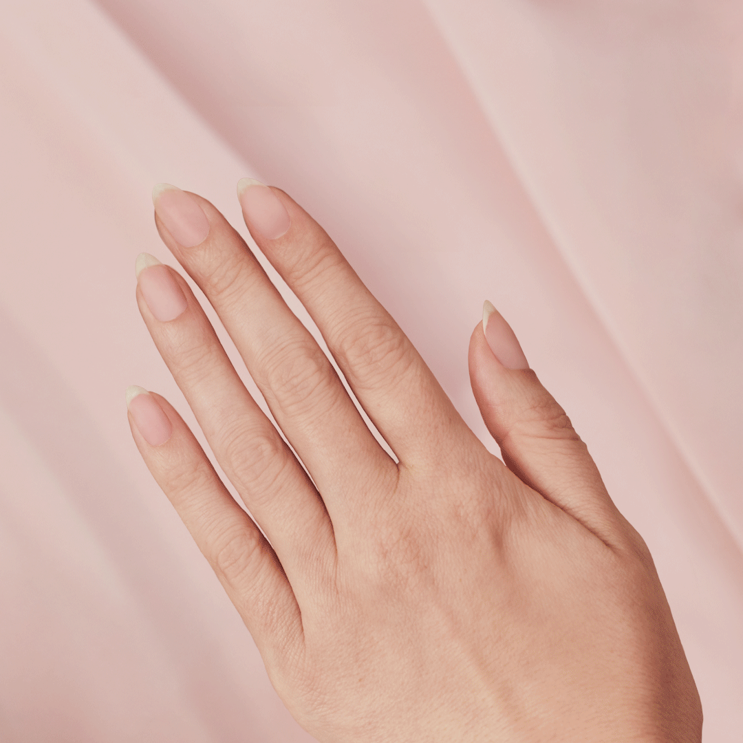 PinkOverlay-1080x1080.gif