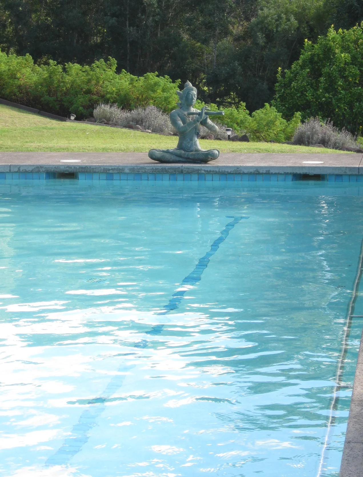 Jump On In, The Water's Fine