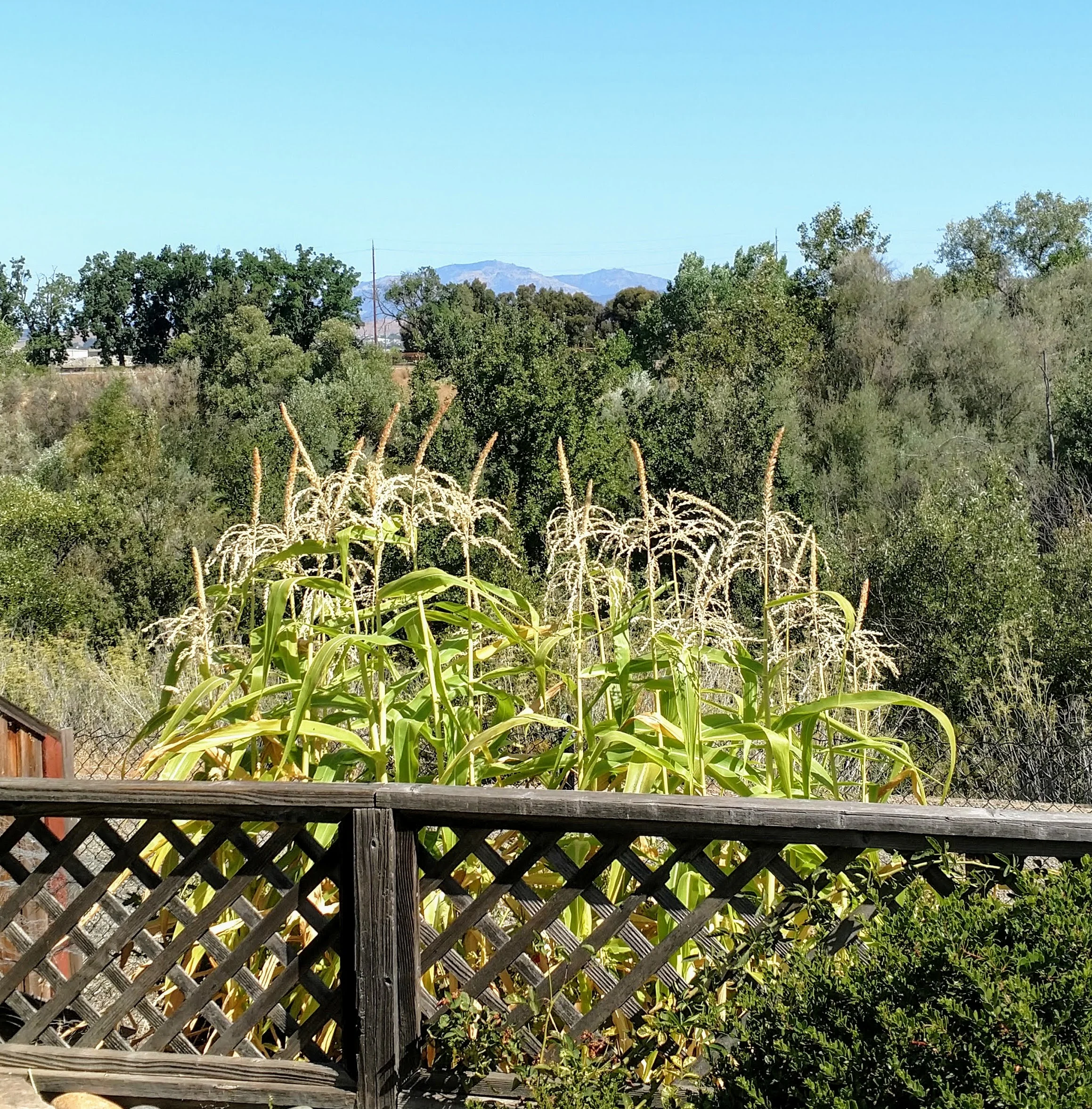 IMG_20190818_102928321.jpg