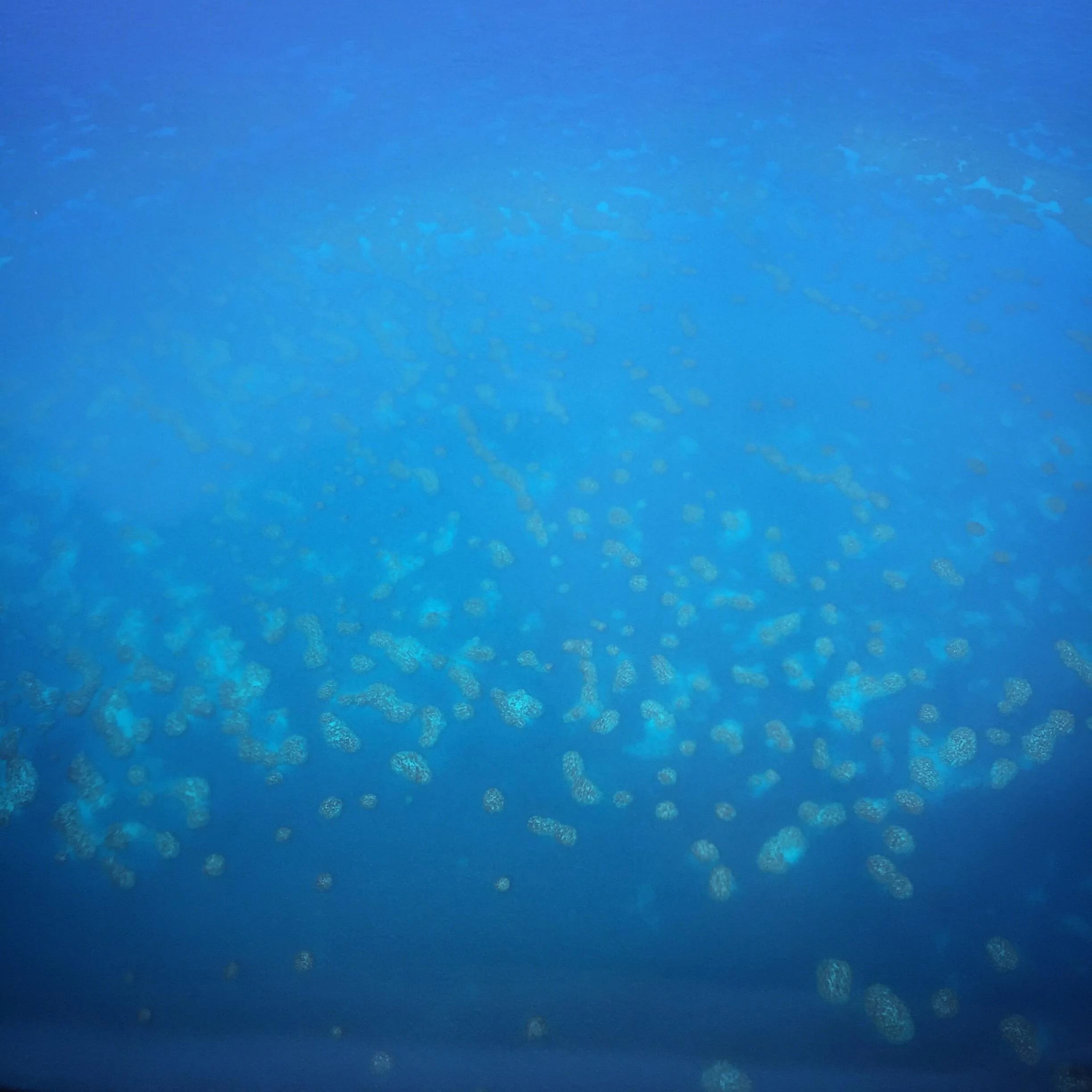 maya_weeks_ocean1.jpg