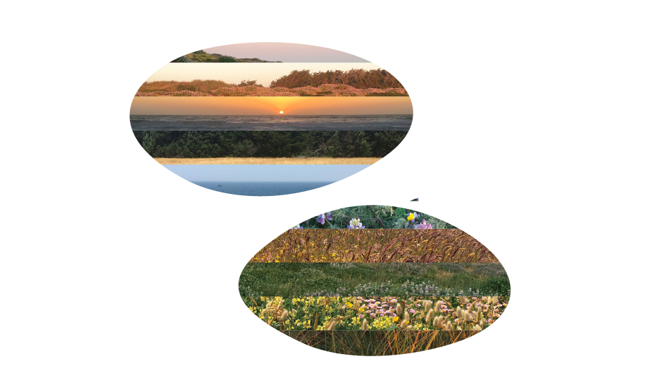 Screen Shot 2019-08-21 at 3.26.43 PM.png