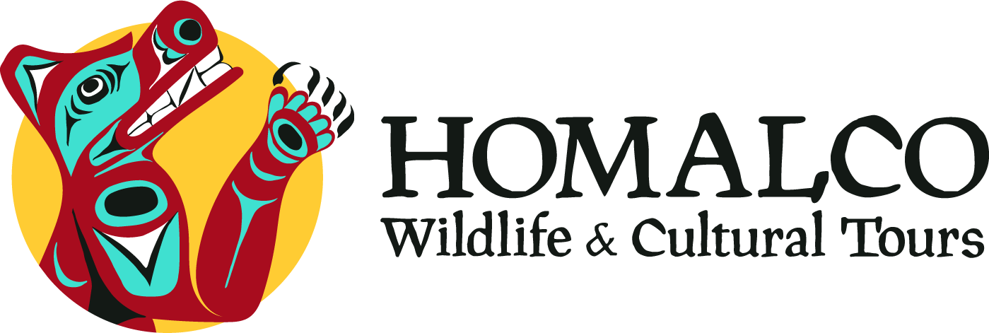 Homalco Wildlife and Cultural Tours