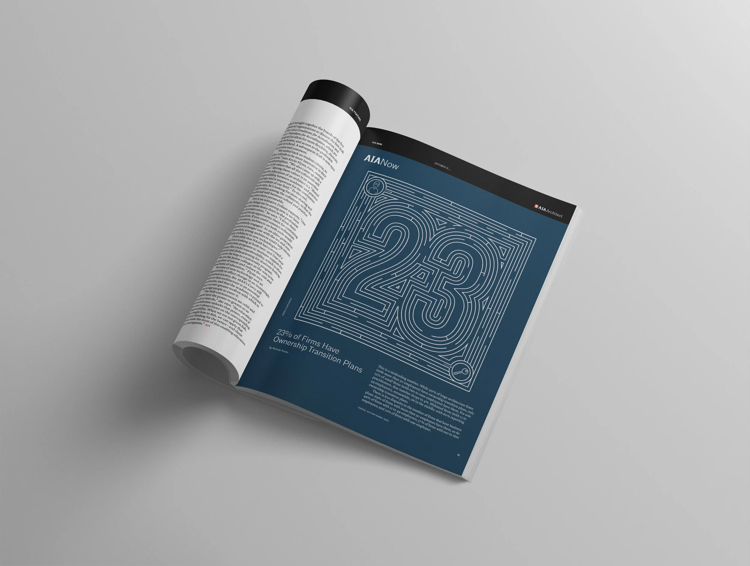 AIA Now mockup 02.jpg