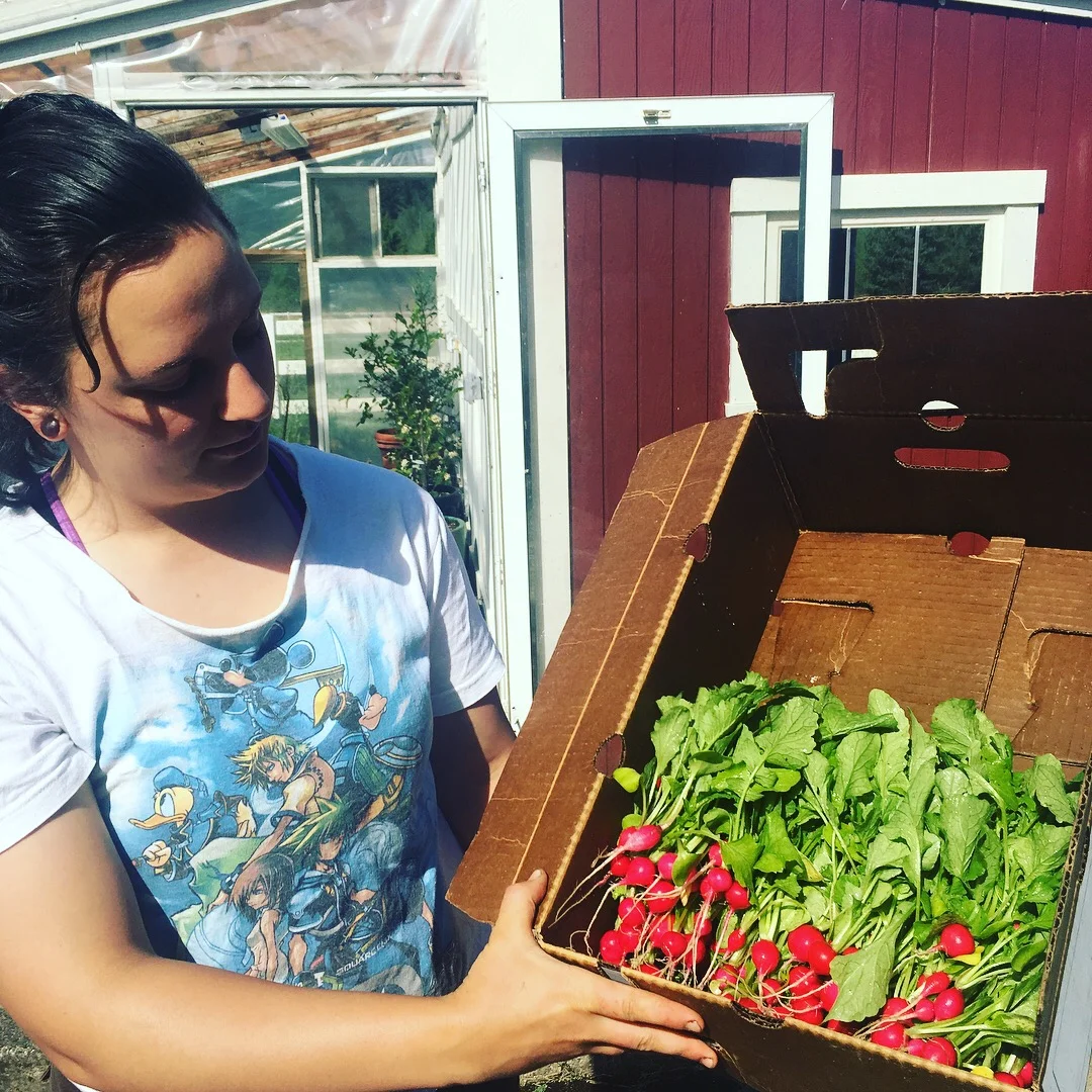 First harvest of the 2018 Harvest