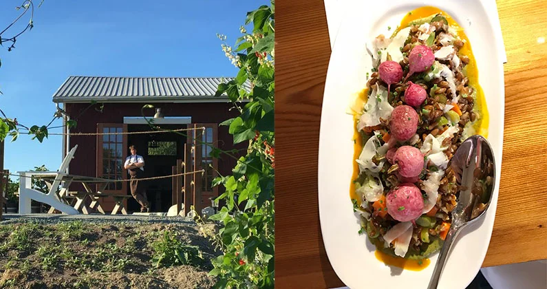 SIP NORTHWEST: Whidbey Island on a Plate at Orchard Kitchen By Erin James