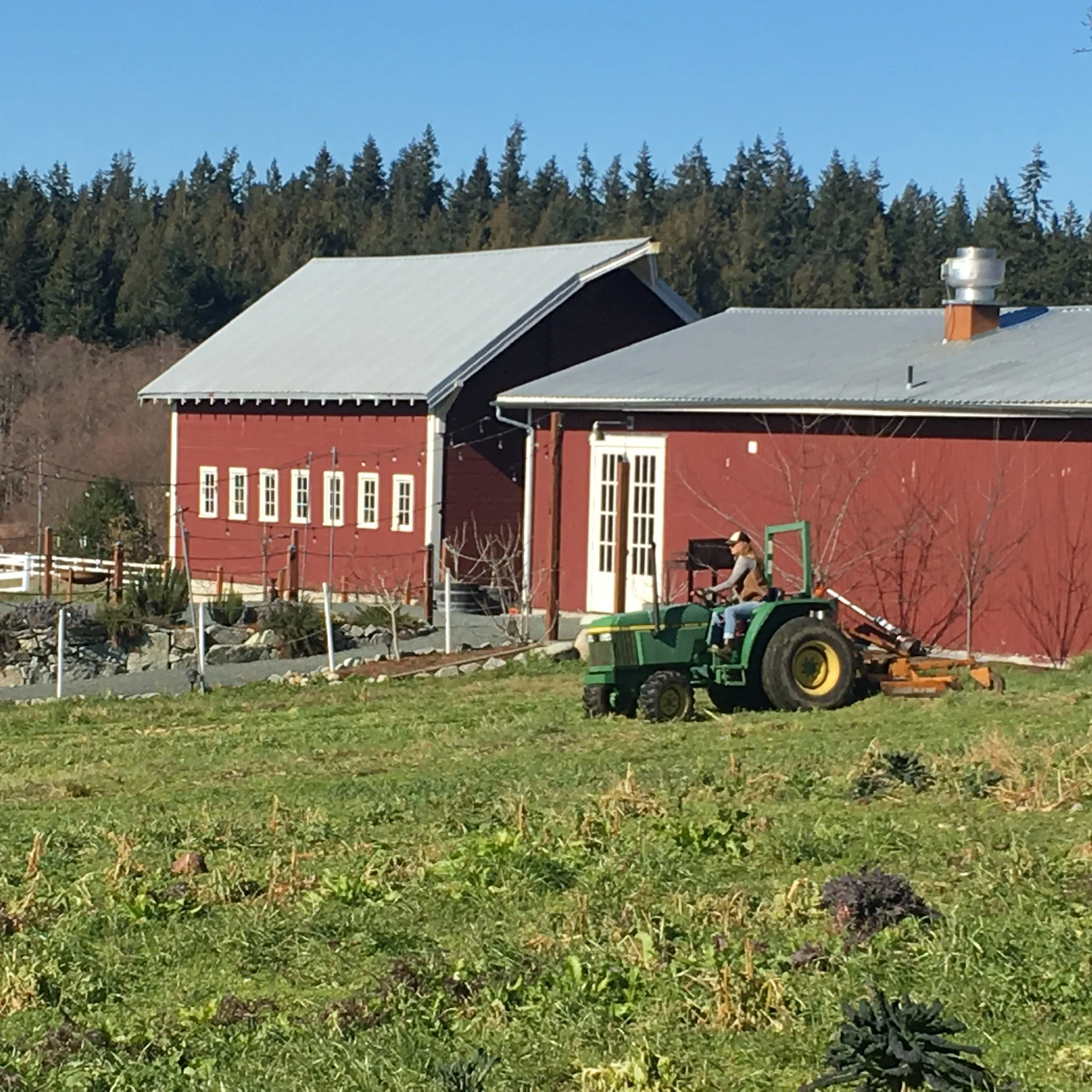 Spring is in the Air | End of March 2019