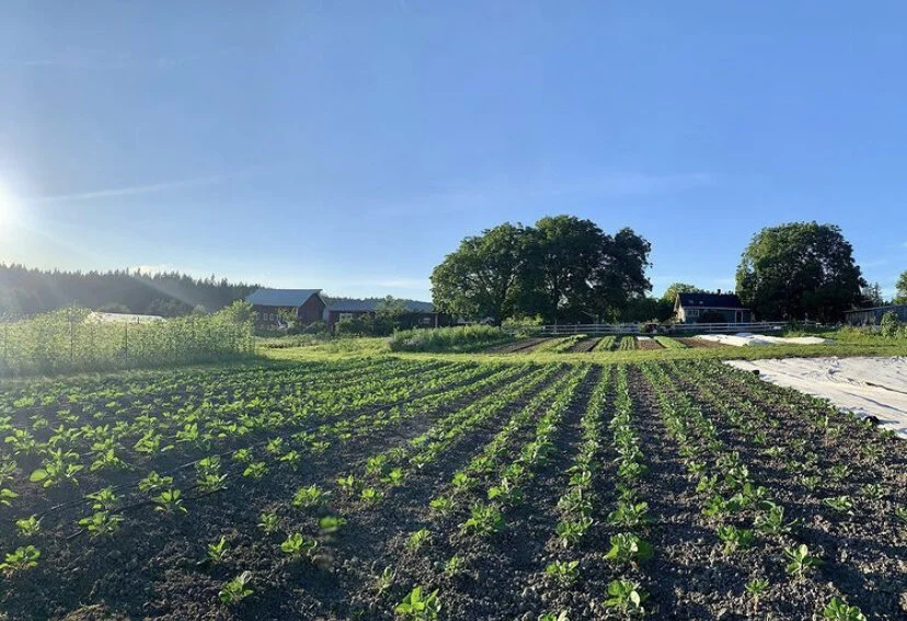 We are reopening! | Slowly at first