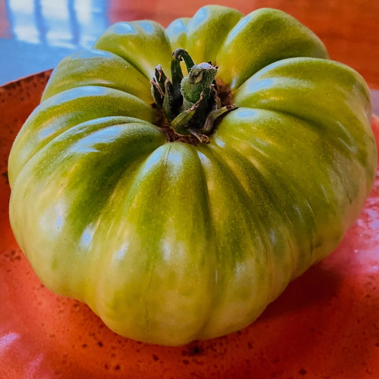 Recipe Sharing | Green Tomato Chutney